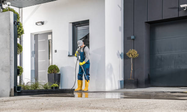 Best Sidewalk and Walkway Cleaning  in Somerville, TN